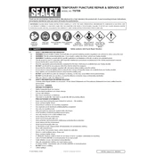 Sealey TST09 Kit manual cover