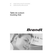 Brandt TE540BF1 Hob manual cover