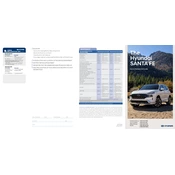 Hyundai Santa Fe 2022 SUV manual cover