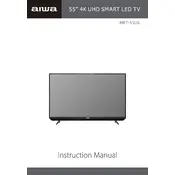 Aiwa AMT-55US TV