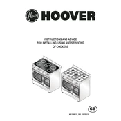 Hoover HGD9395BL manual cover