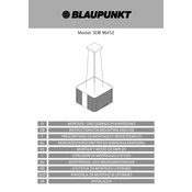 Blaupunkt 5DB96452 manual cover