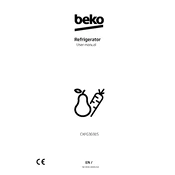 Beko CXFG3691S manual cover