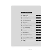 Lexus CT 2013 Electric Car