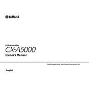 Yamaha CX-A5000 Amplifier