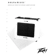 Peavey Delta Blues Amplifier manual cover