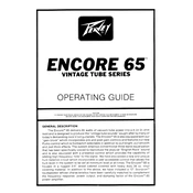 Peavey Encore 65 Amplifier manual cover