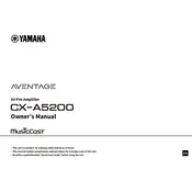 Yamaha CX-A5200 Amplifier