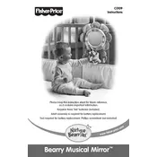 Fisher Price Mattel Nature Bearries Bearry Musical Mirror C0109 Toy manual cover