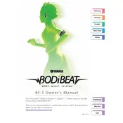 Yamaha BodiBeat BF-1 Music Player
