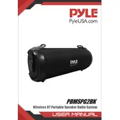 Pyle PBMSPG2BK Speaker manual cover